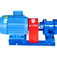 齿轮油泵费用-「恒盛泵业」不锈钢齿轮泵保养@天津