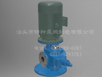 浙江齿轮油泵订制生产|泊头特种泵厂家批发YHB-L型齿轮泵