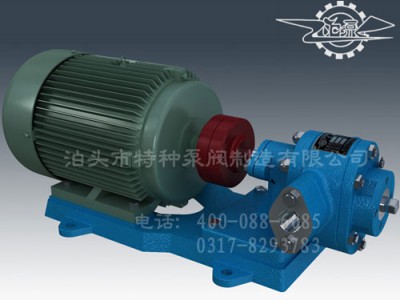 上海不锈钢齿轮油泵定做~泊头特种泵厂家直营齿轮油泵