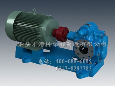 安徽不锈钢泵生产/泊头特种泵厂家零售齿轮泵