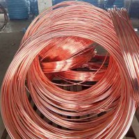 福建铜包钢圆线制造厂家|津德环保加工铜包钢圆线