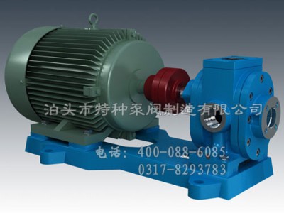 广东不锈钢泵订制生产_泊特泵厂家批发可调压式齿轮油泵