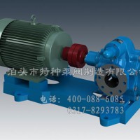 山东齿轮泵定制生产-泊头特种泵厂价直营齿轮泵